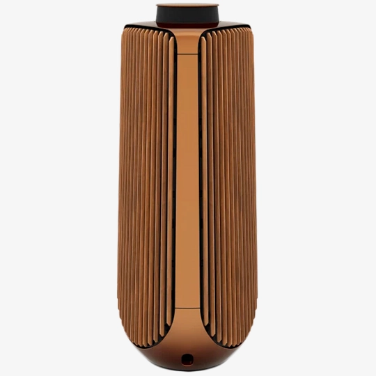 Audio System BANG \u0026 OLUFSEN BeoLab 50