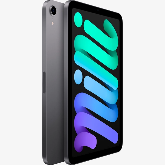 iPad mini 6, 256 GB, Wi-Fi, Space Gray purchase: price MK7T3RK/A
