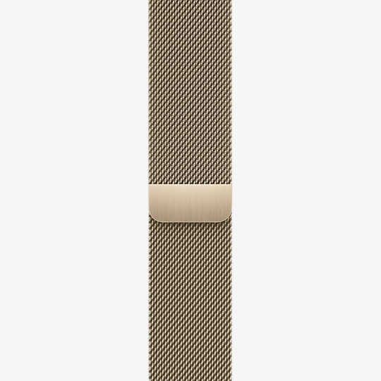 Band APPLE 45mm Milanese Loop Gold purchase price installments