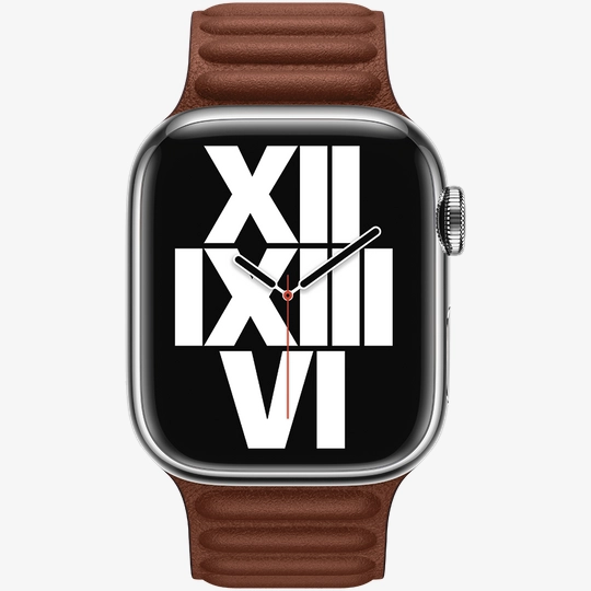 APPLE 41mm Leather Link M L Umber MP823ZM A