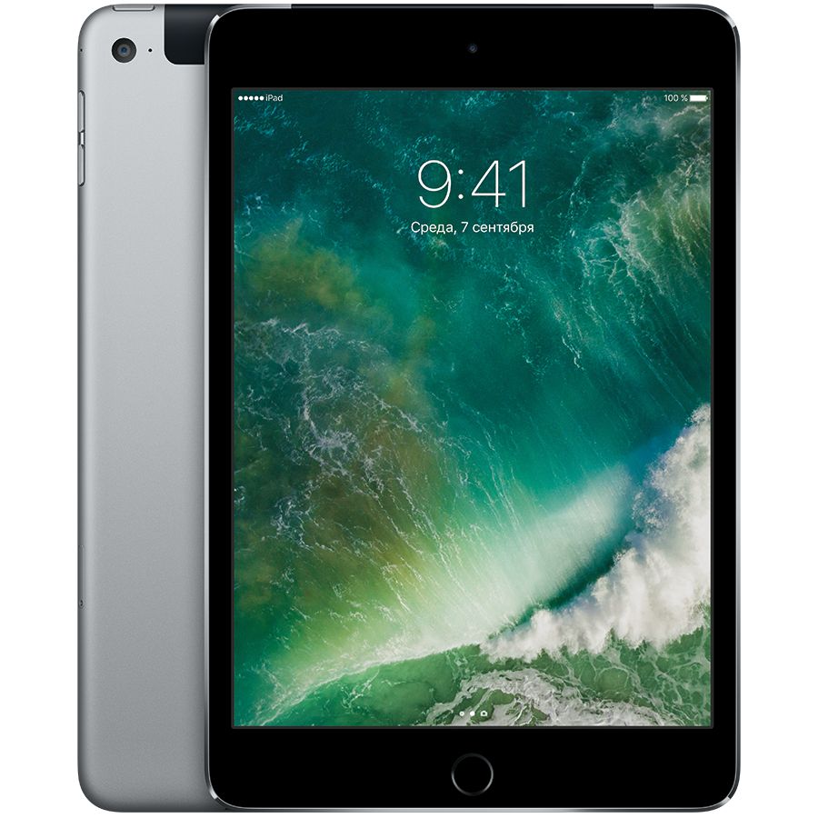 iPad mini 4, 64 ГБ, Wi-Fi+4G, Серый космос MK722 б/у - Фото 0