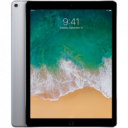 iPad Pro 12,9", 256 GB, Wi-Fi+4G, Space Gray