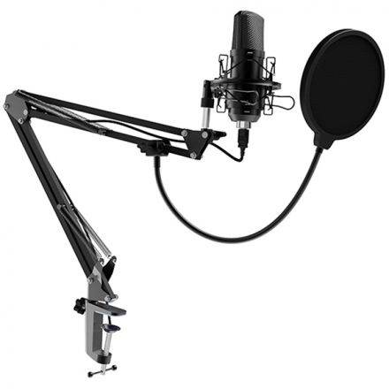 Multimedia - Microphone RITMIX